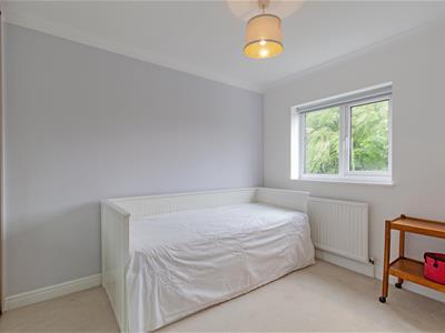 Picture 23